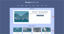 Desktop Screenshot of boegerweb.com